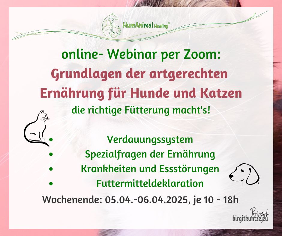 Online-Seminar: Grundlagen der artgerechten Ernährung für Hunde und Katzen