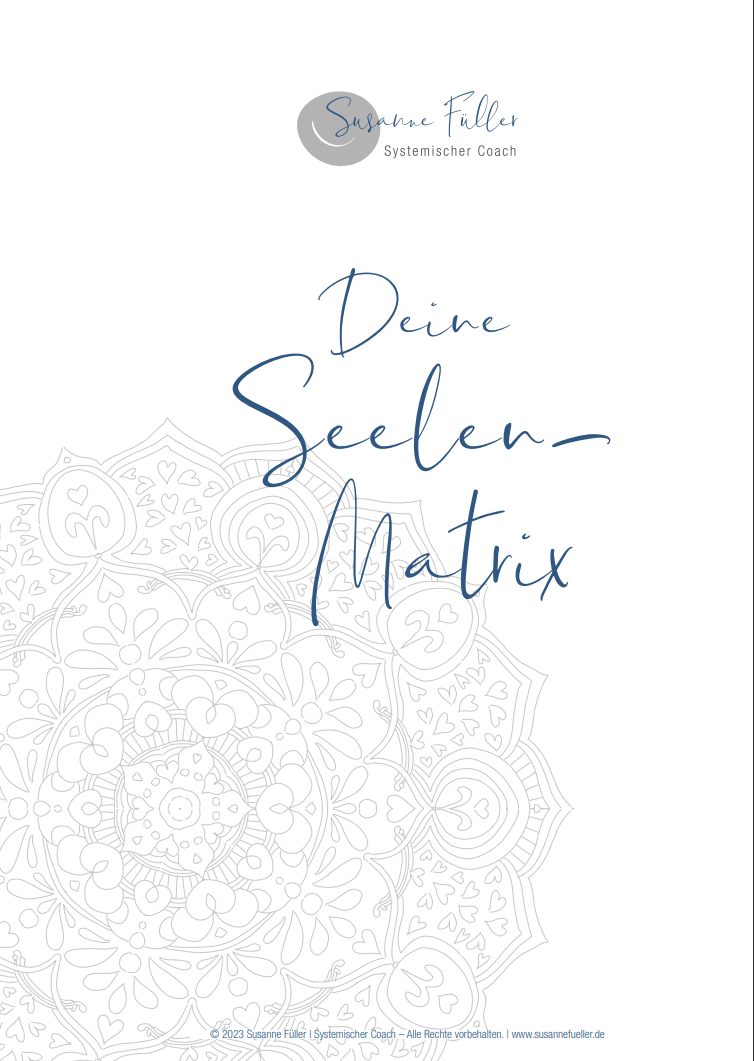 2025: Lerne deine SEELENMATRIX kennen - Live 3 Std. inkl. individuellem Workbook für dich