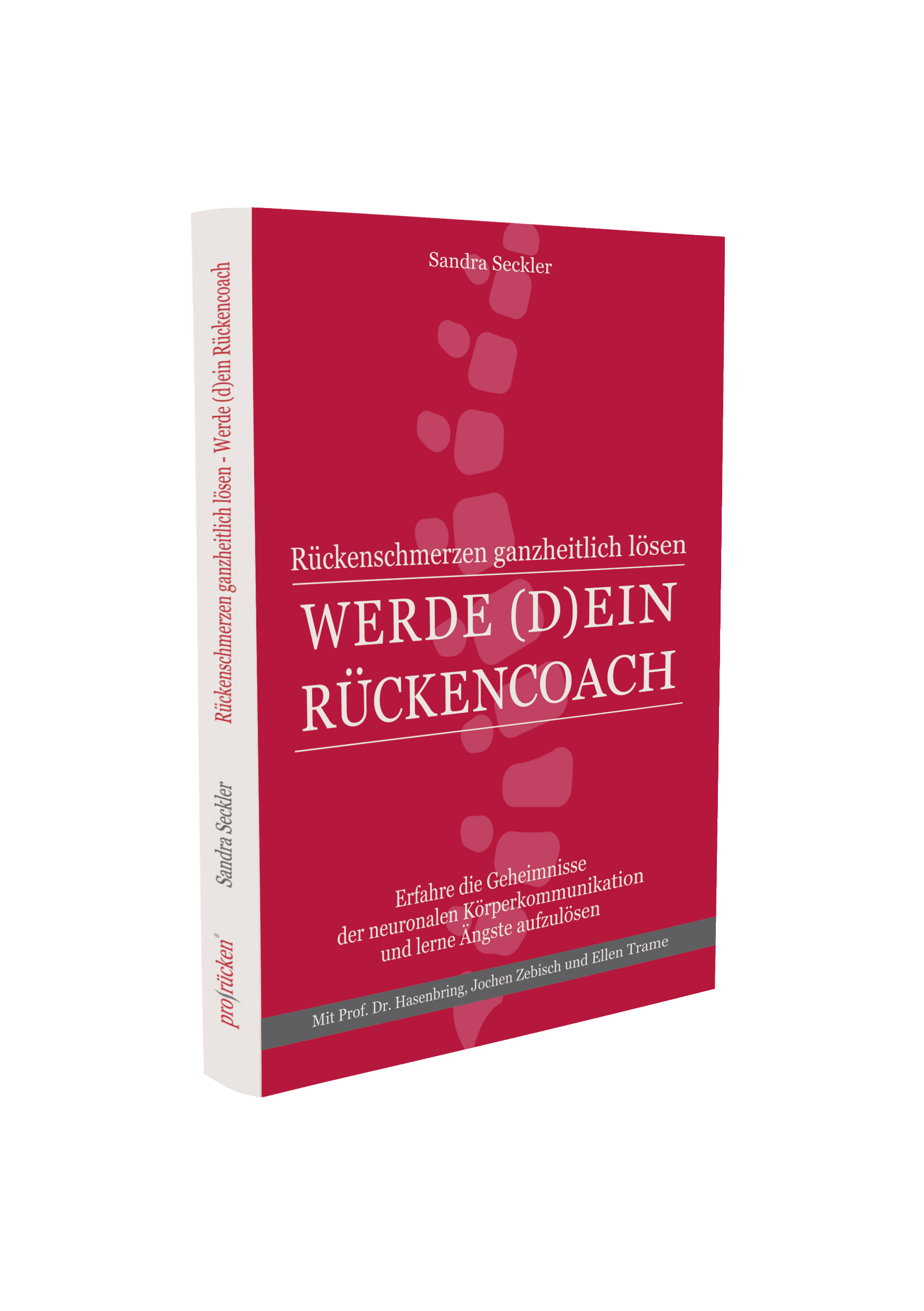 WERDE (D)EIN RÜCKENCOACH
