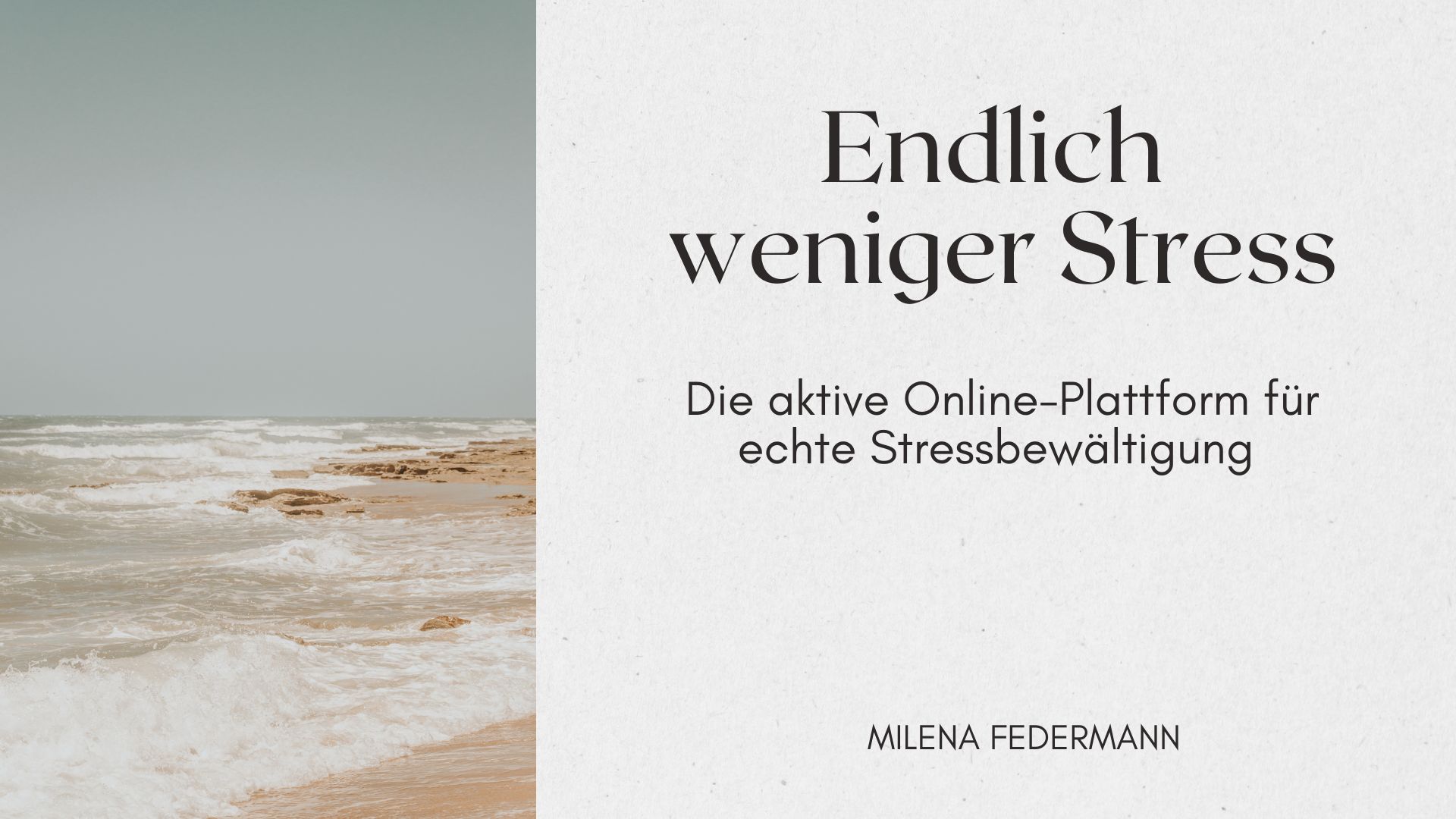 Endlich weniger Stress - Die Online Plattform - Einzelzugang