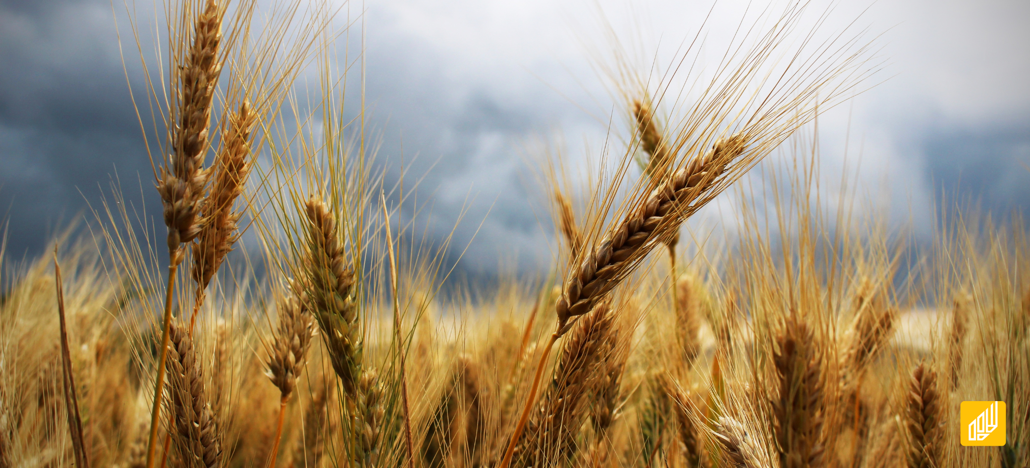 https://s3.eu-central-1.amazonaws.com/public.agro.forum/news/8ed64368-678a-48b9-986a-d12716444c5b.png