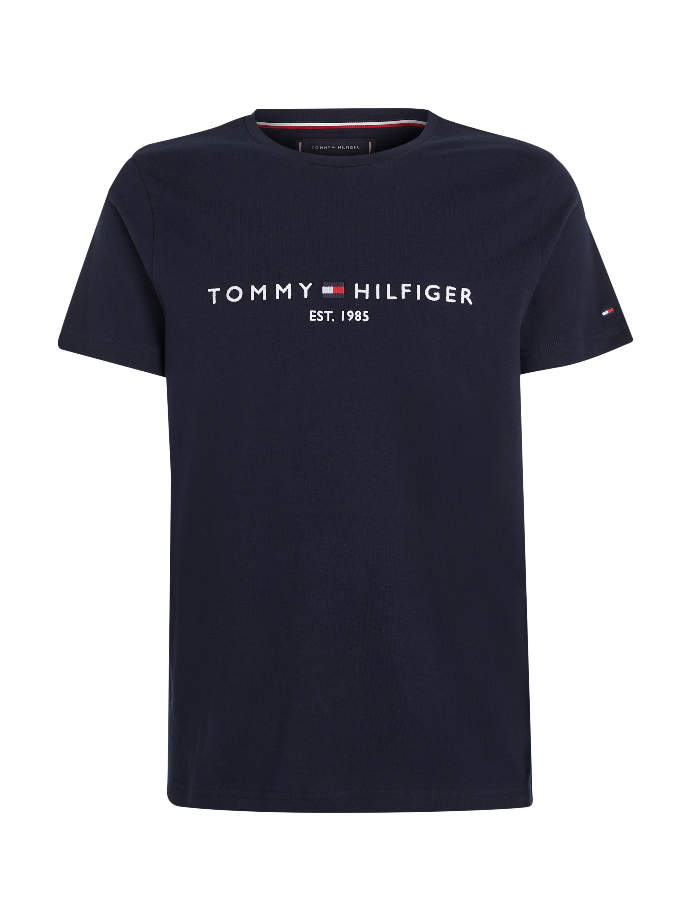 CORE TOMMY LOGO TEE male