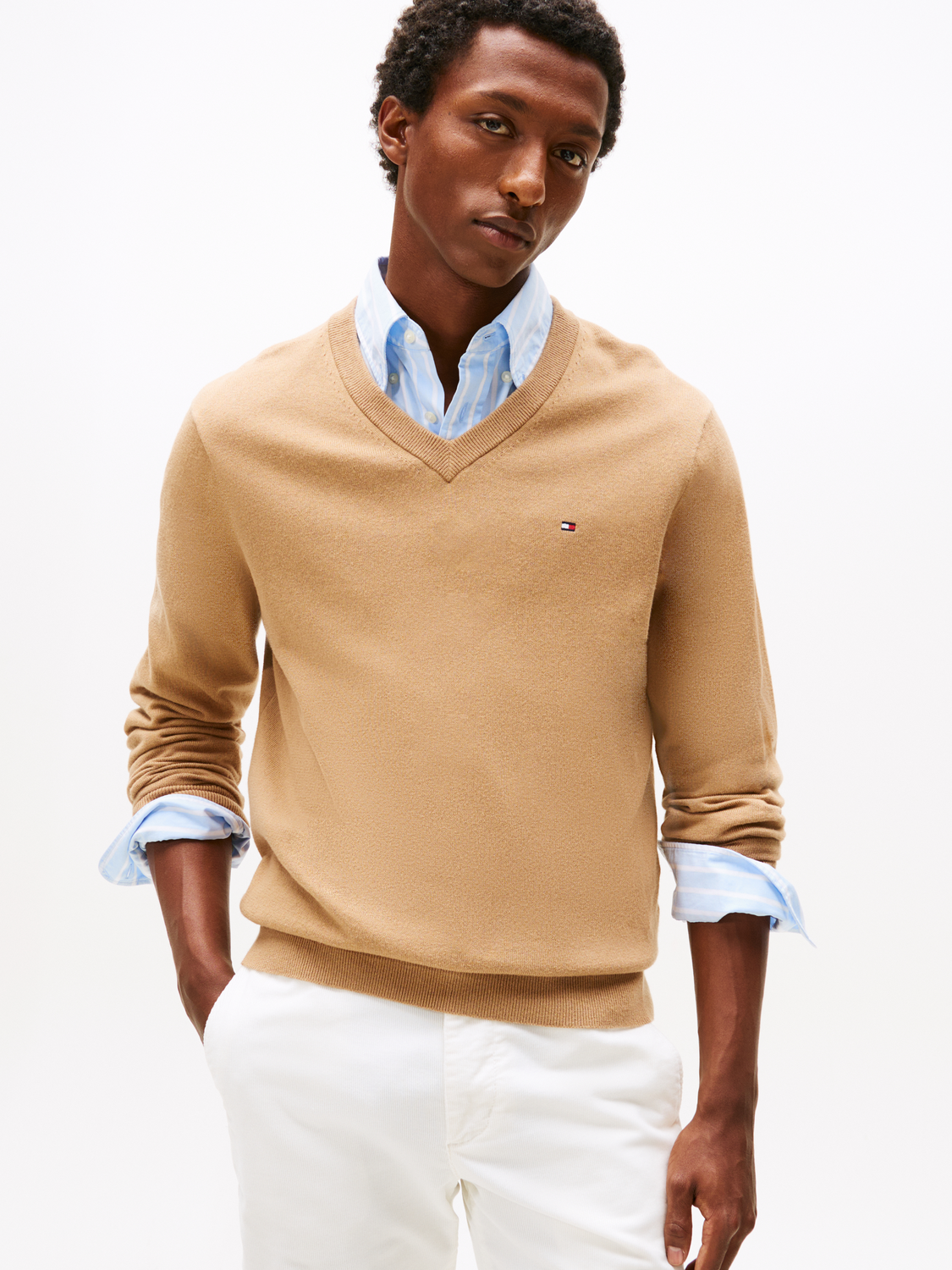 PIMA ORG CTN CASHMERE V NECK male