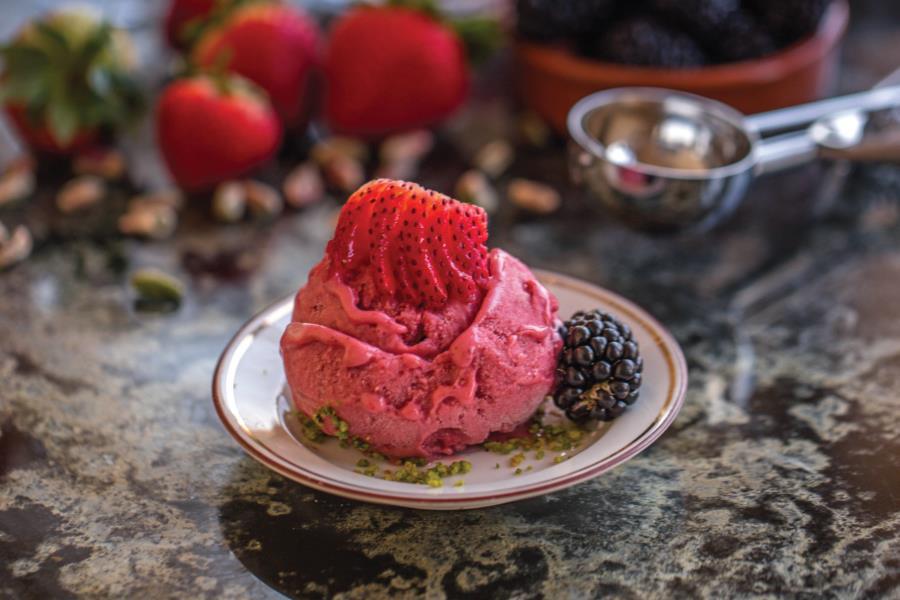 Sukar Pasha Mix Berry Ice Cream