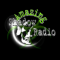 Amazing shadow radio