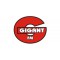 Gigant FM