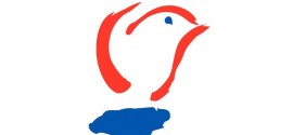Live radio verslag van 5 Mei / Bevrijdingsdag