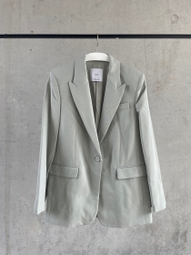 Anzugblazer