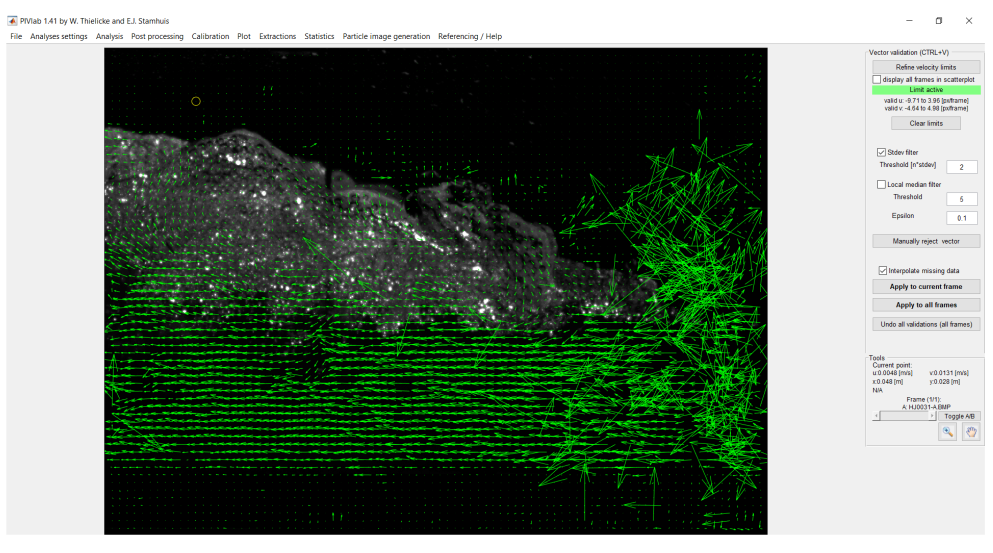 Ventana de validación de vectores en PIVlab sin aplicación de filtros