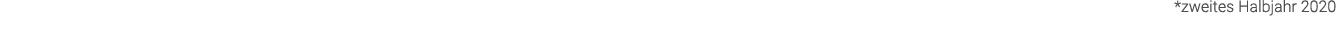 *zweites Halbjahr 2020