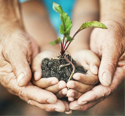Closeup shot of an adult and child holding a plant growing out of soil