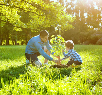 Side view of happy man with son planting tree on meadow in back lit 
