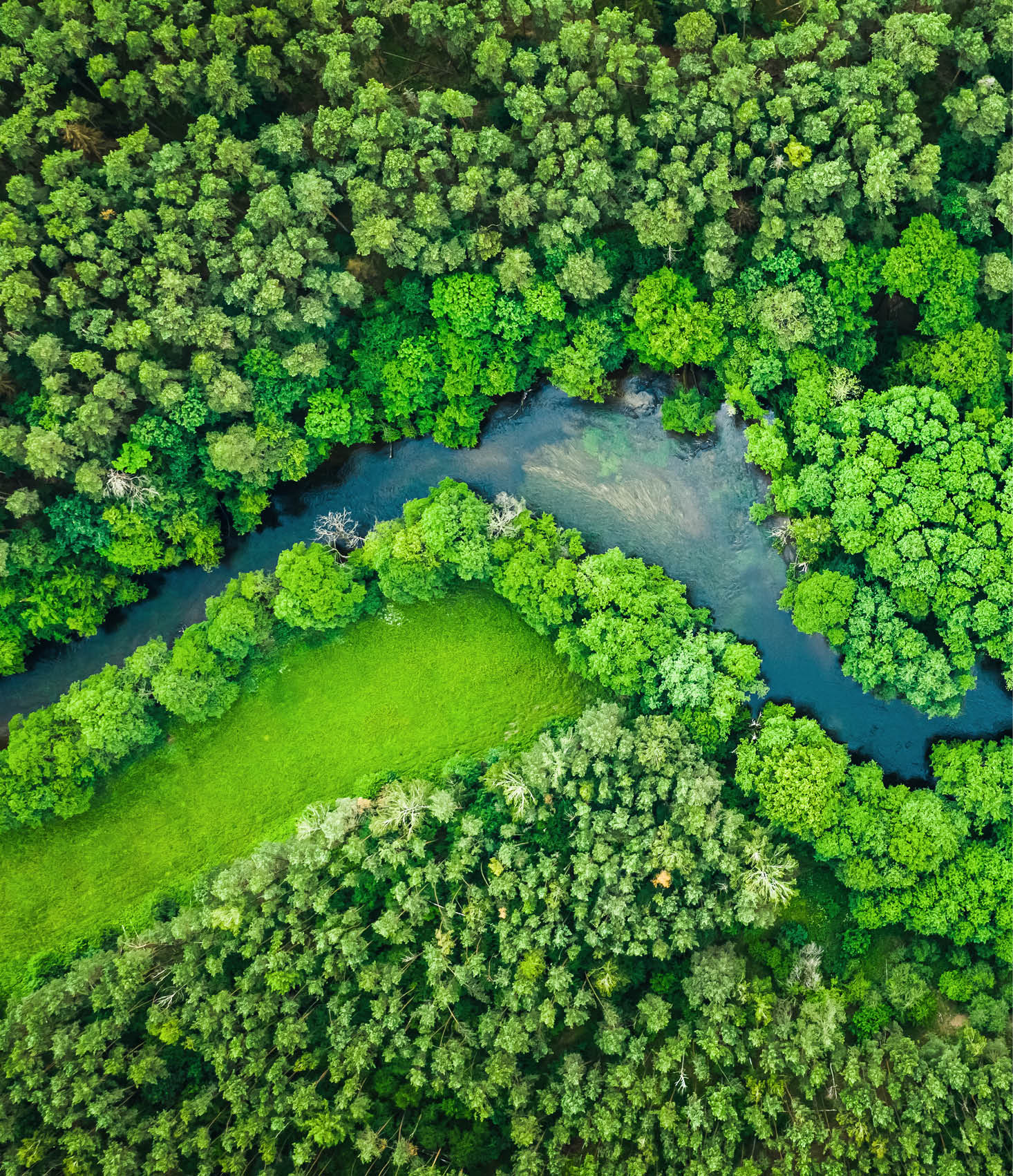 River and green forest in Tuchola natural park, aerial view
