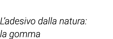  L adesivo dalla natura: la gomma