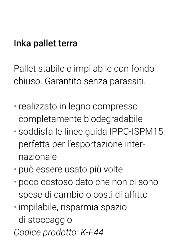  Inka pallet terra Pallet stabile e impilabile con fondo chiuso  Garantito senza parassiti  realizzato in legno compr   