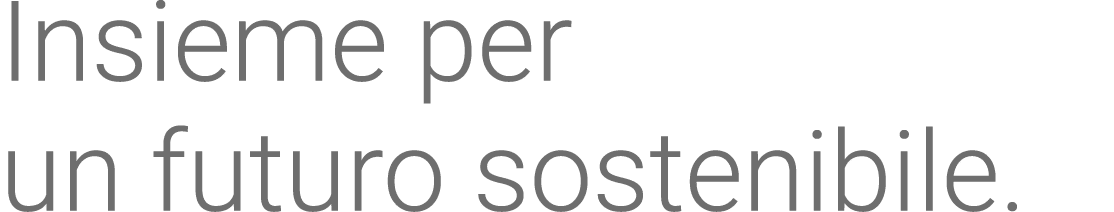 Insieme per un futuro sostenibile  