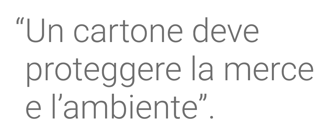   Un cartone deve proteggere la merce e l ambiente  