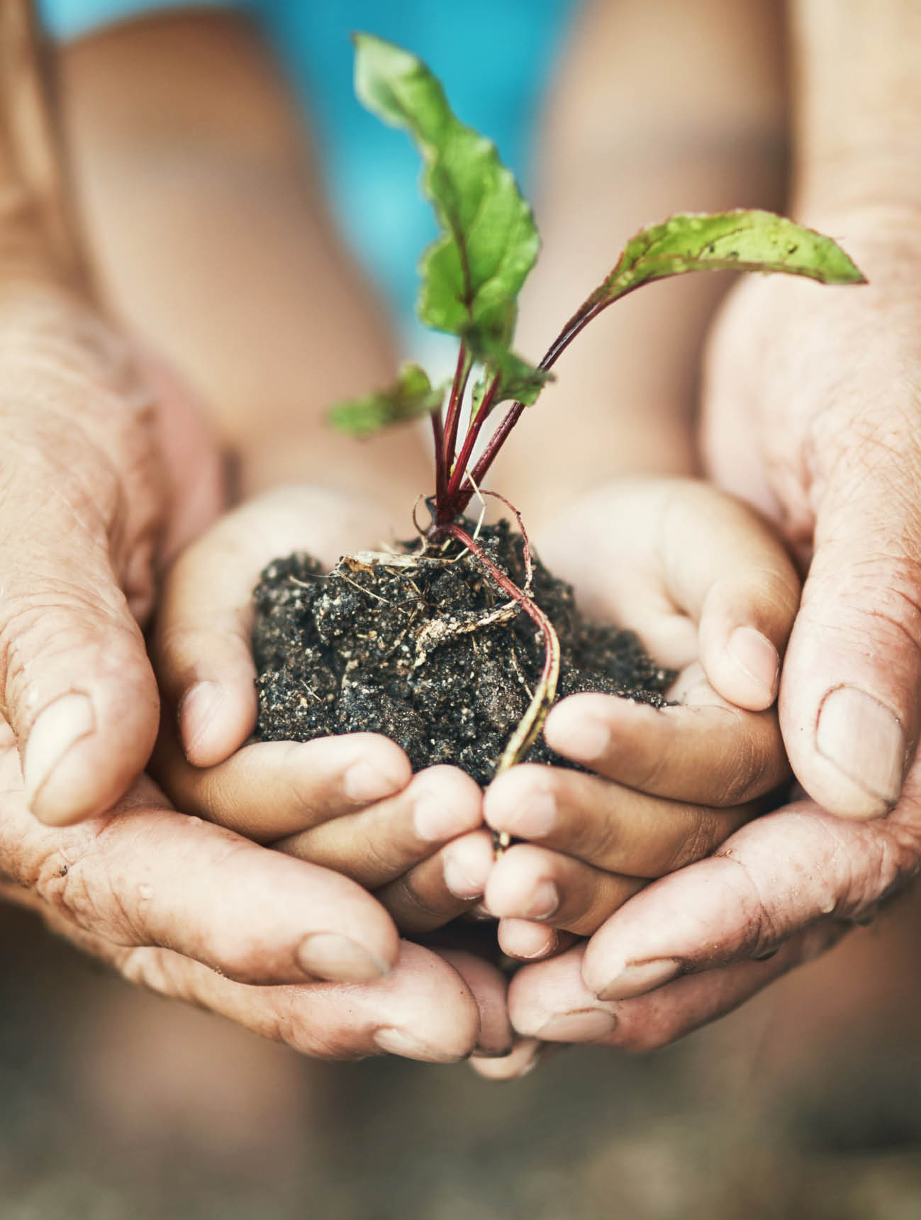 Closeup shot of an adult and child holding a plant growing out of soil