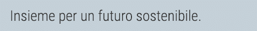 Insieme per un futuro sostenibile 