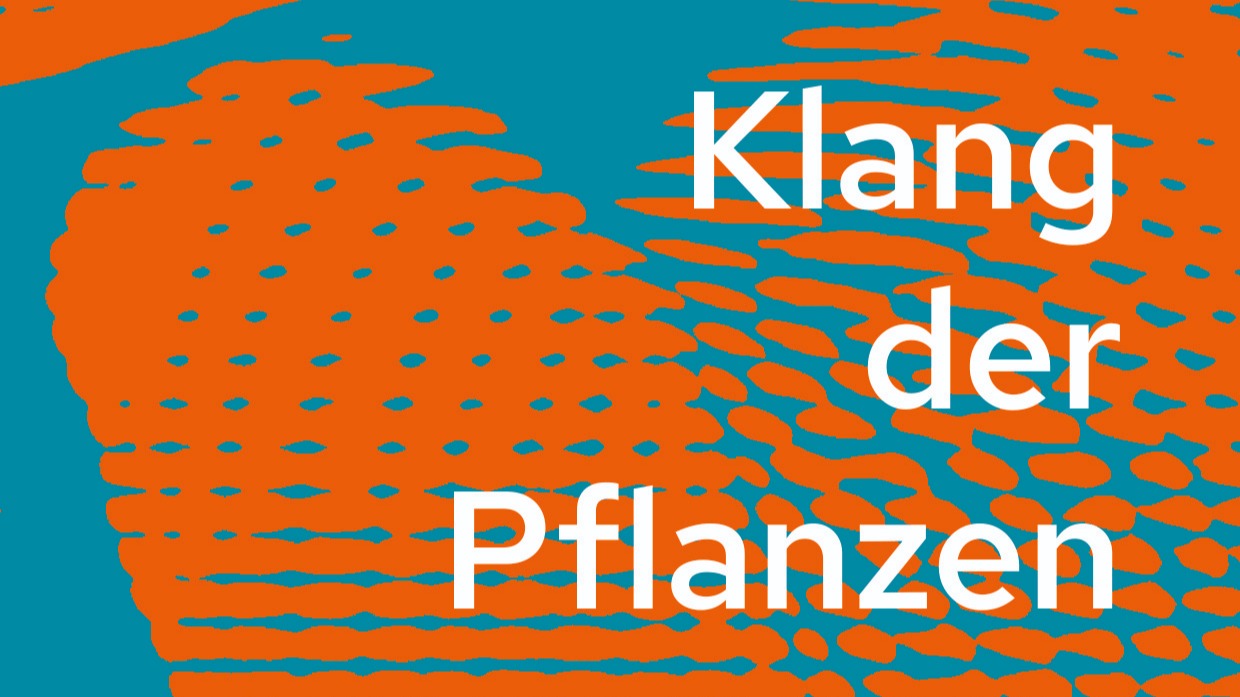 Klang der Pflanzen - musica assoluta & STRŒME