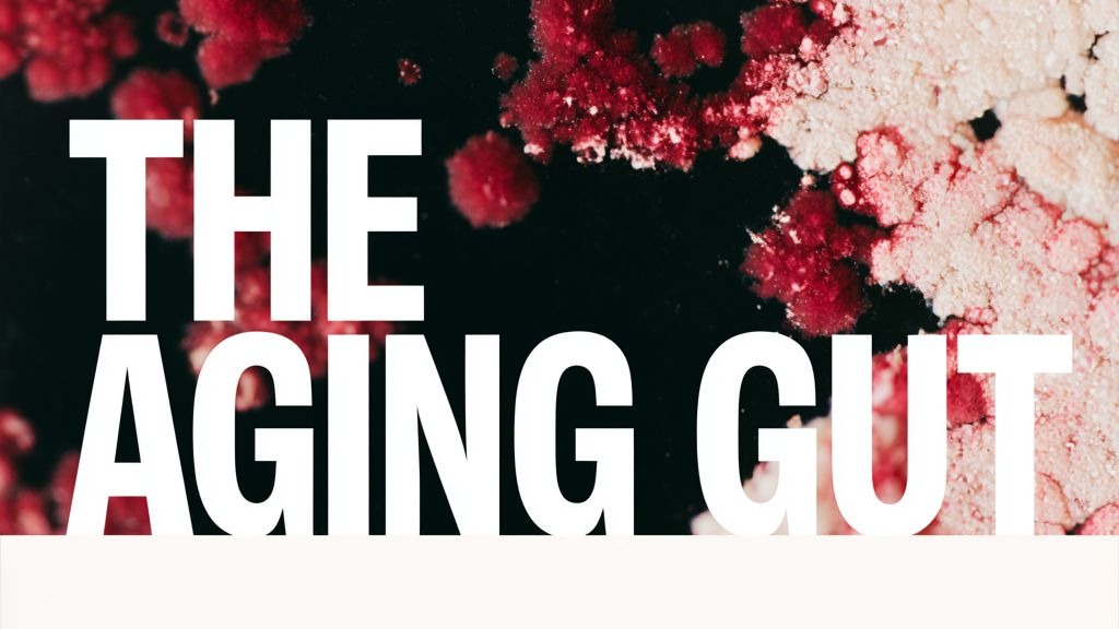 The Aging Gut: The Microbiome's Role in Longevity
