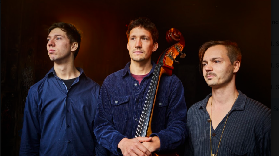 open excess - mixed-abled Jazz Trio