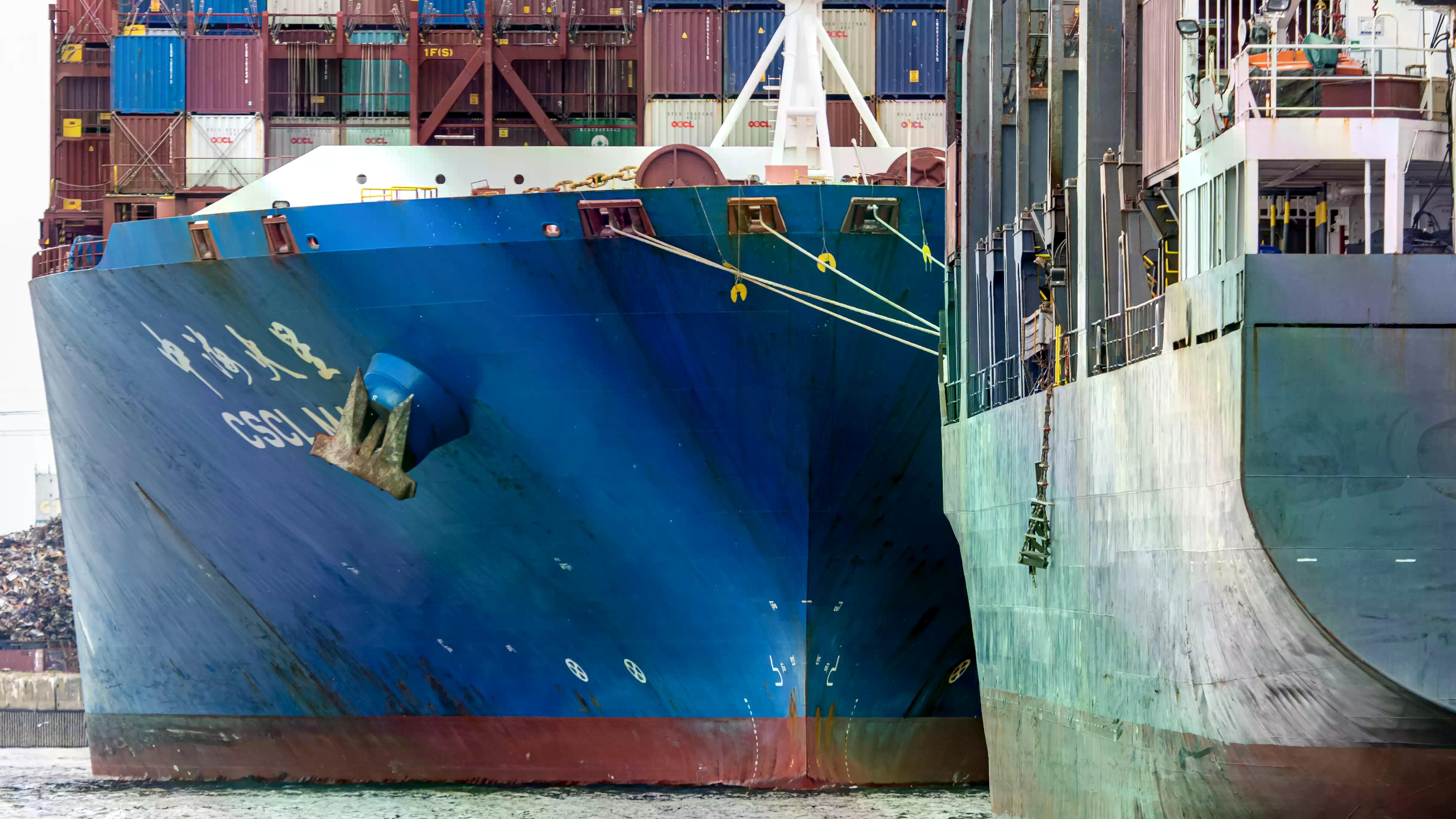 Wildes Wilhelmsburg: Die Elbe von der Elbe aus