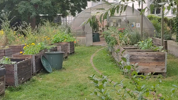 Herbst-Werkstatt im Gröpiland: Biotope, Pflege & Tipps für den eigenen Garten