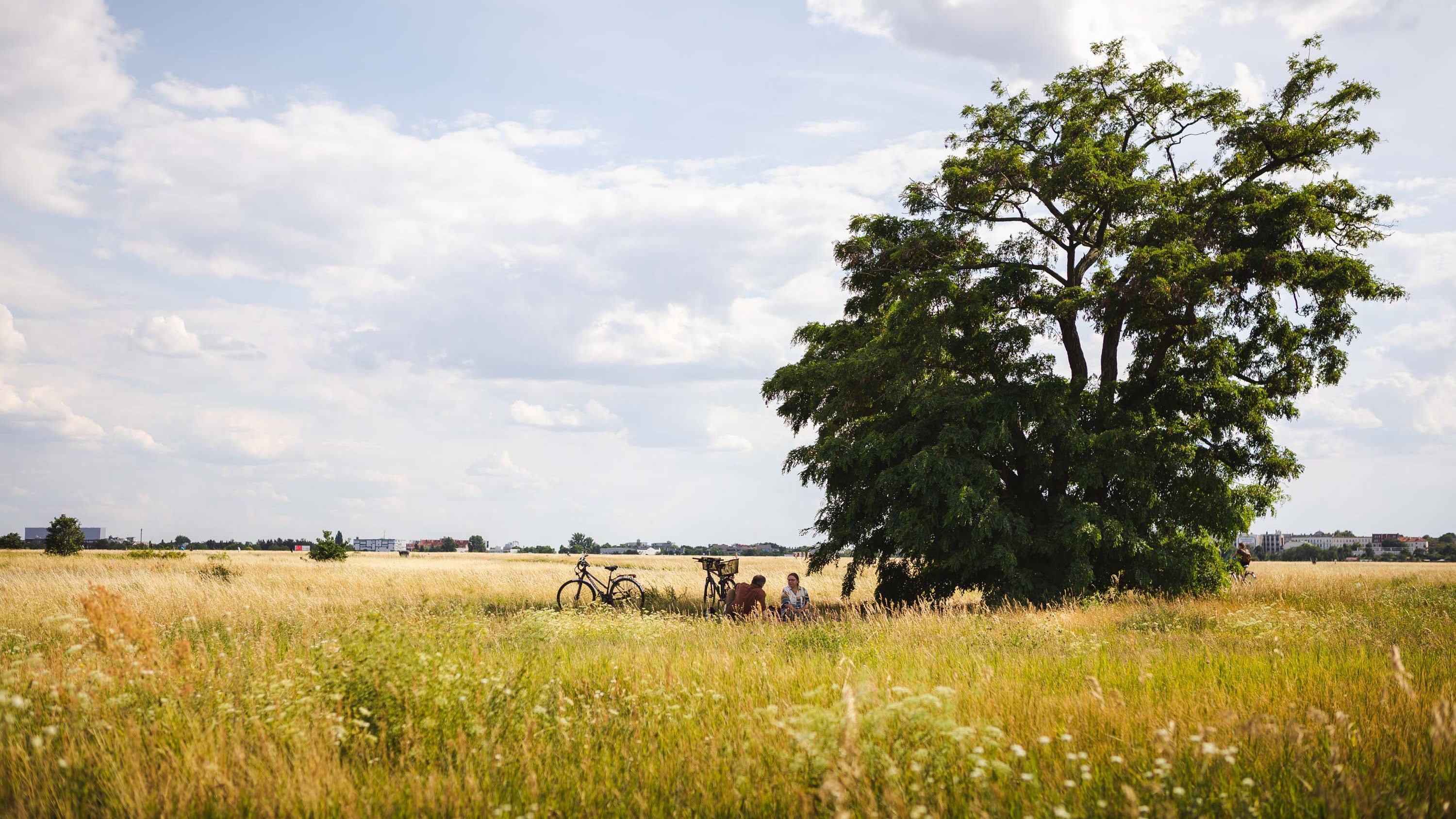 Wurzeln und Horizonte - Stadtboden unter dem Feld