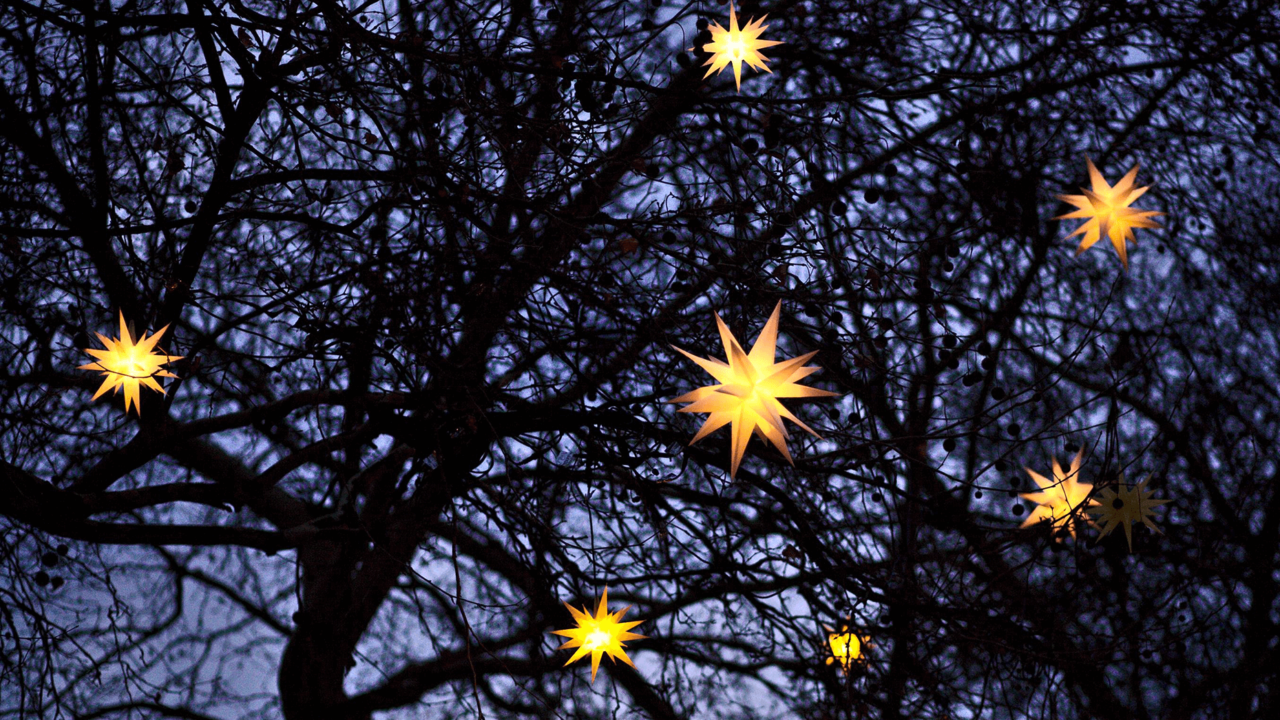 Adventskonzert in Hohenlind