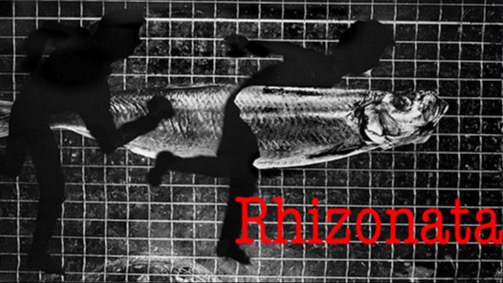 Hildegard Weber – Rhizonata