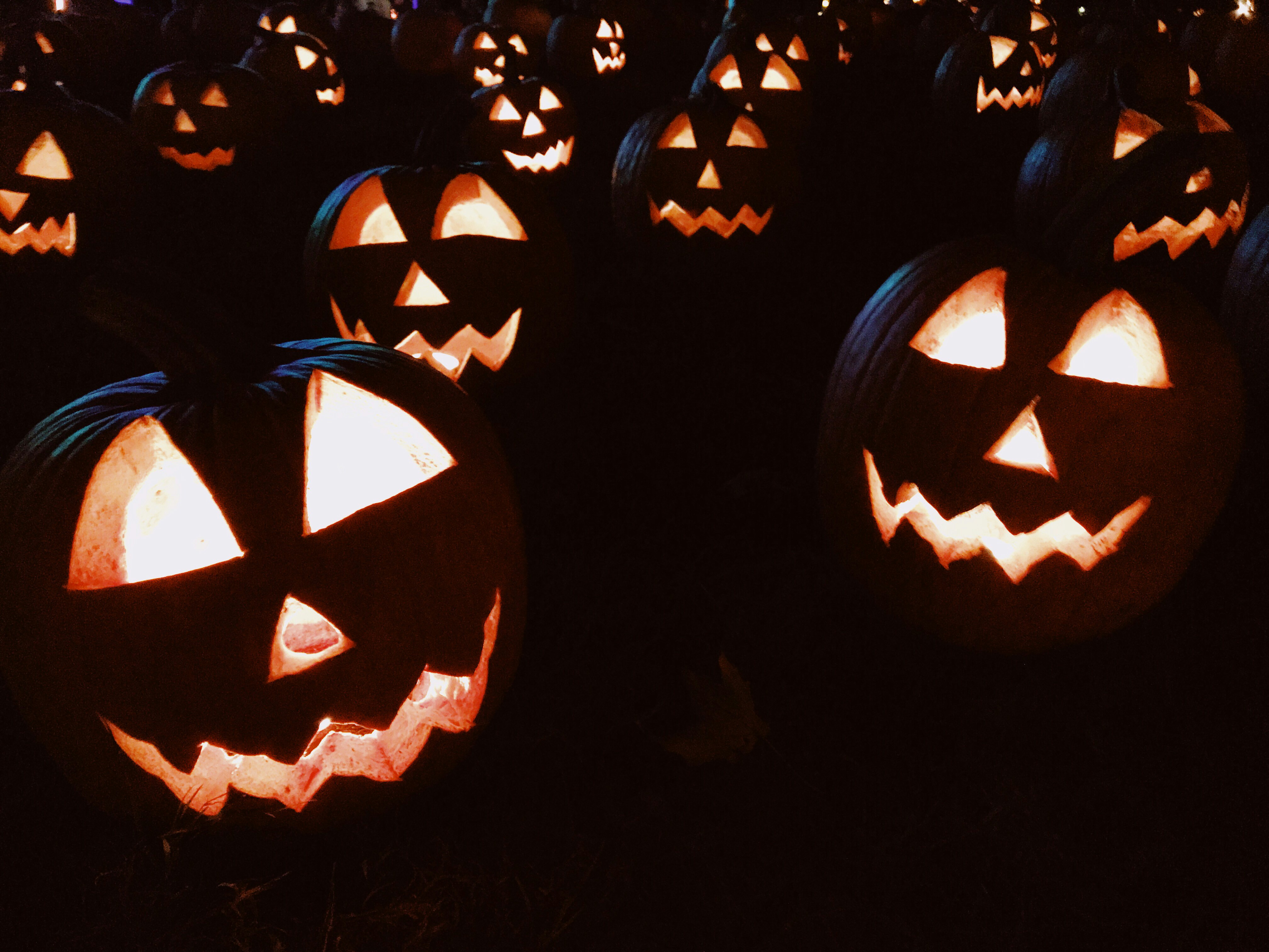 Was geht an Halloween 2025 in Köln?