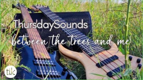 between the trees and me @ ThursdaySounds