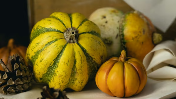Pumpkin Still Life; Oil Painting Workshop