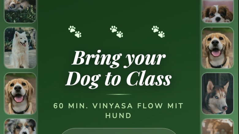 Bring your Dog to Yoga 🐾 🐶
