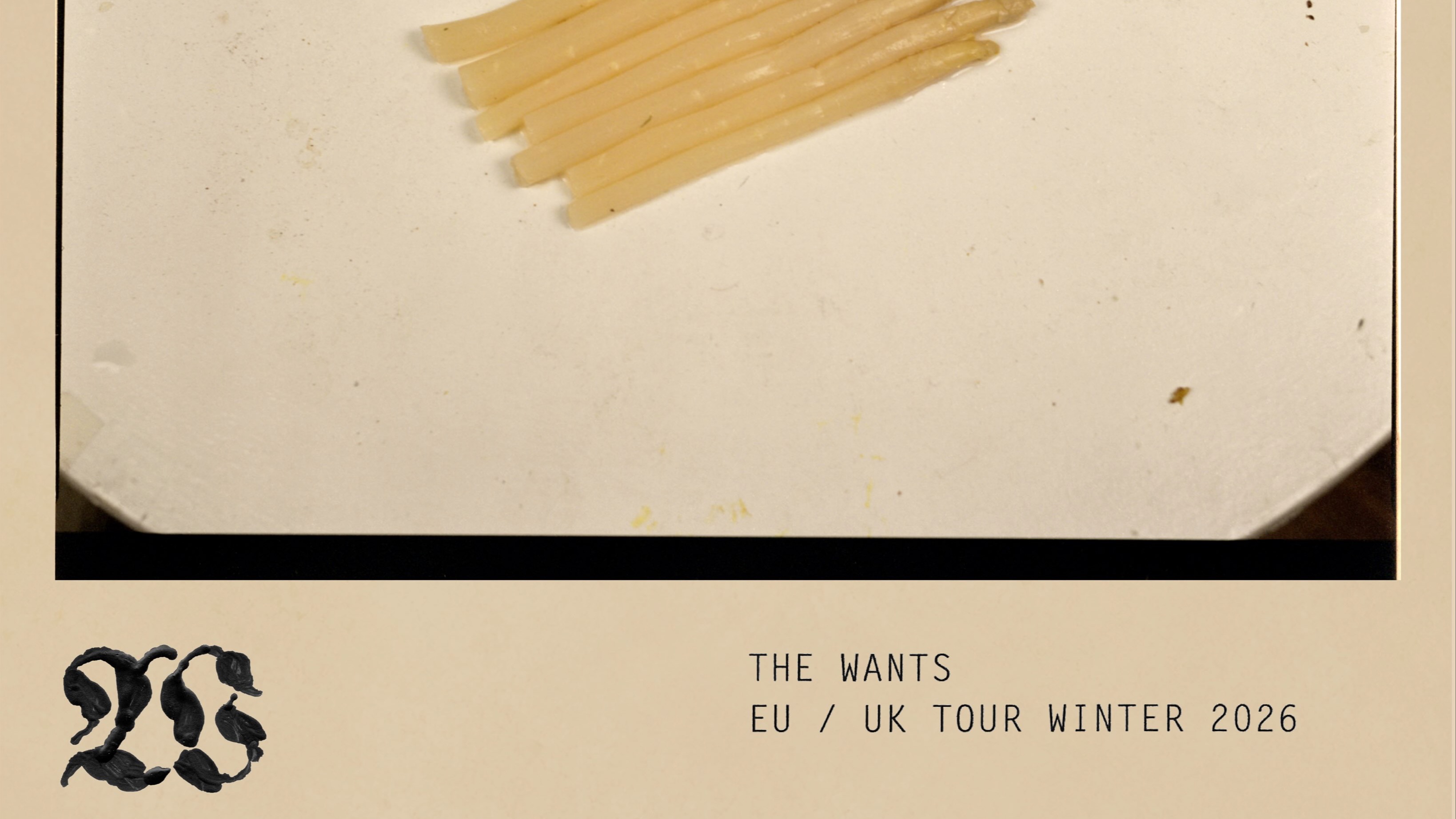 The Wants (post-punk, nyc)