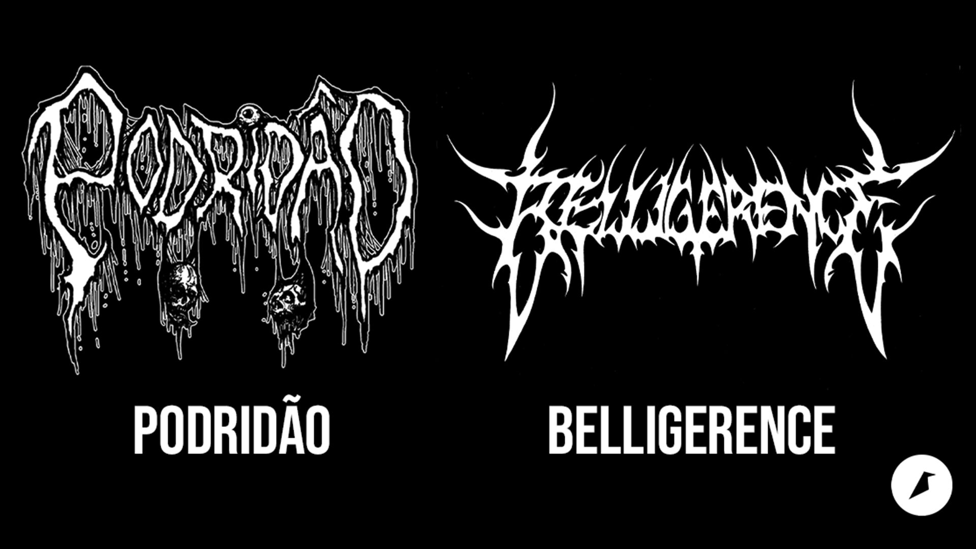 Podridão / Belligerence