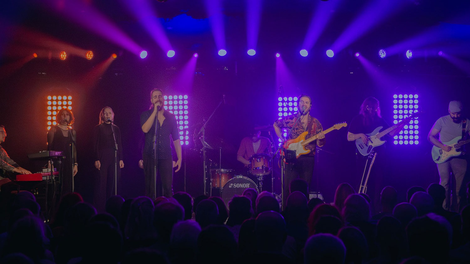 WHO'S PINK - A Pink Floyd Tribute
