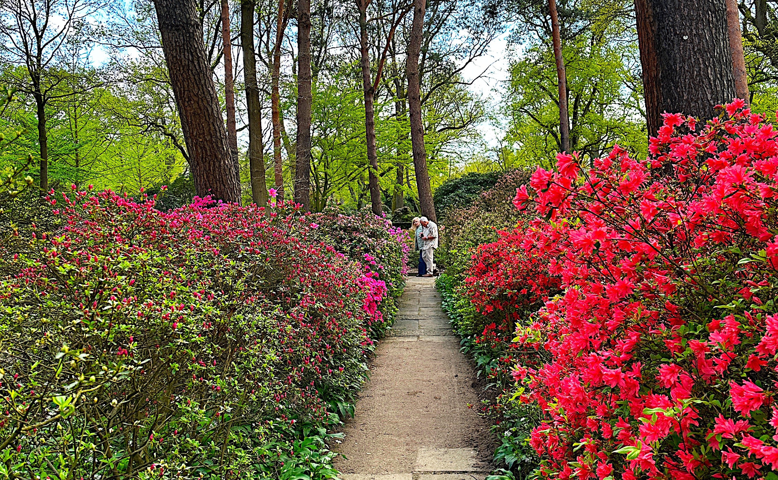 Rhododendronpark in Bremen | Alle Events, Termine & Tickets - Rausgegangen