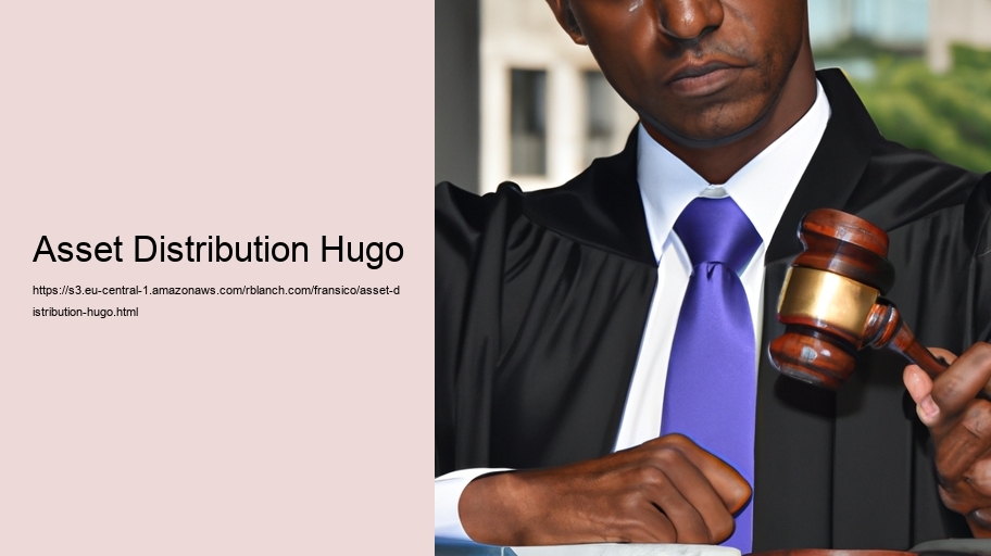 Asset Distribution Hugo
