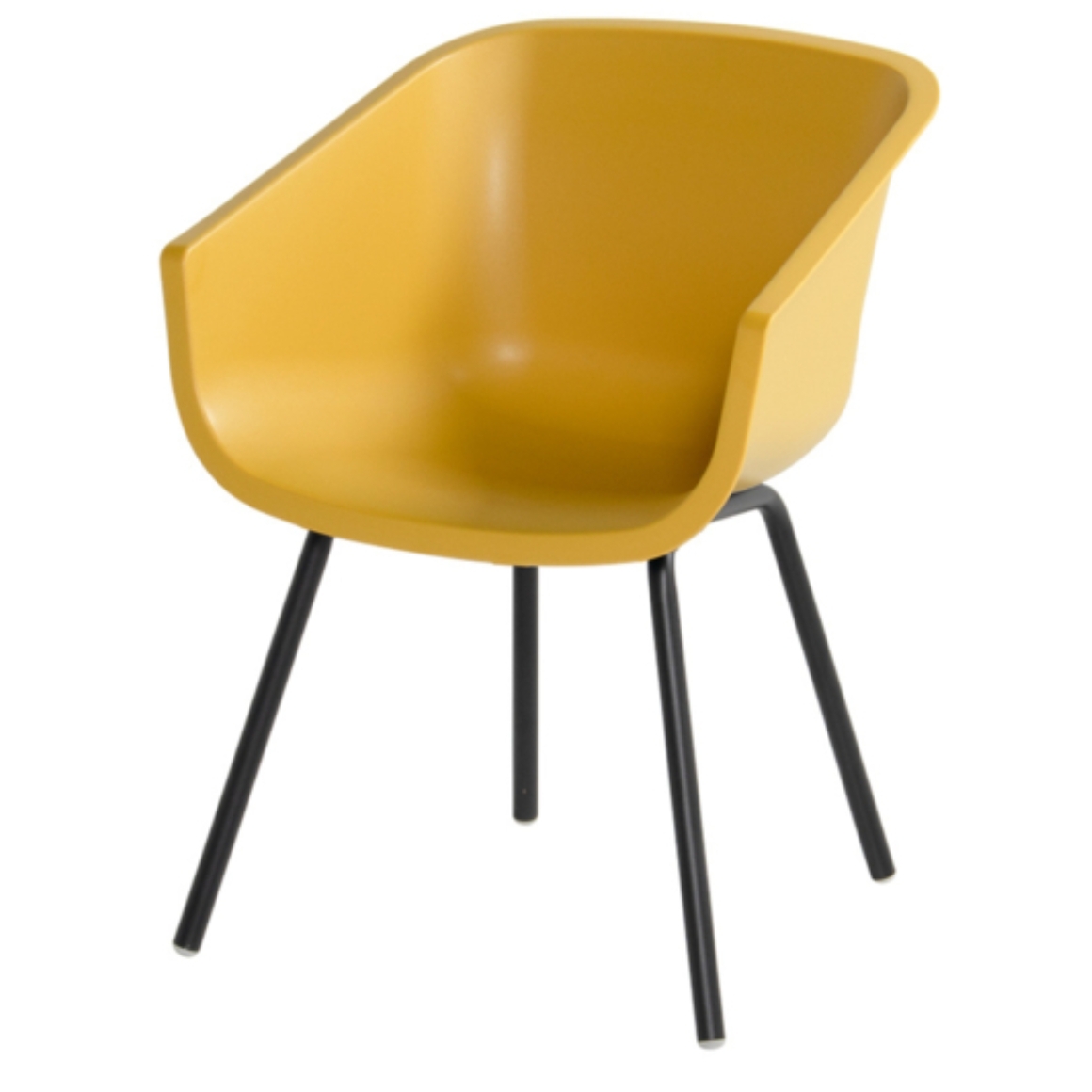 Product F Edibau I afbeelding