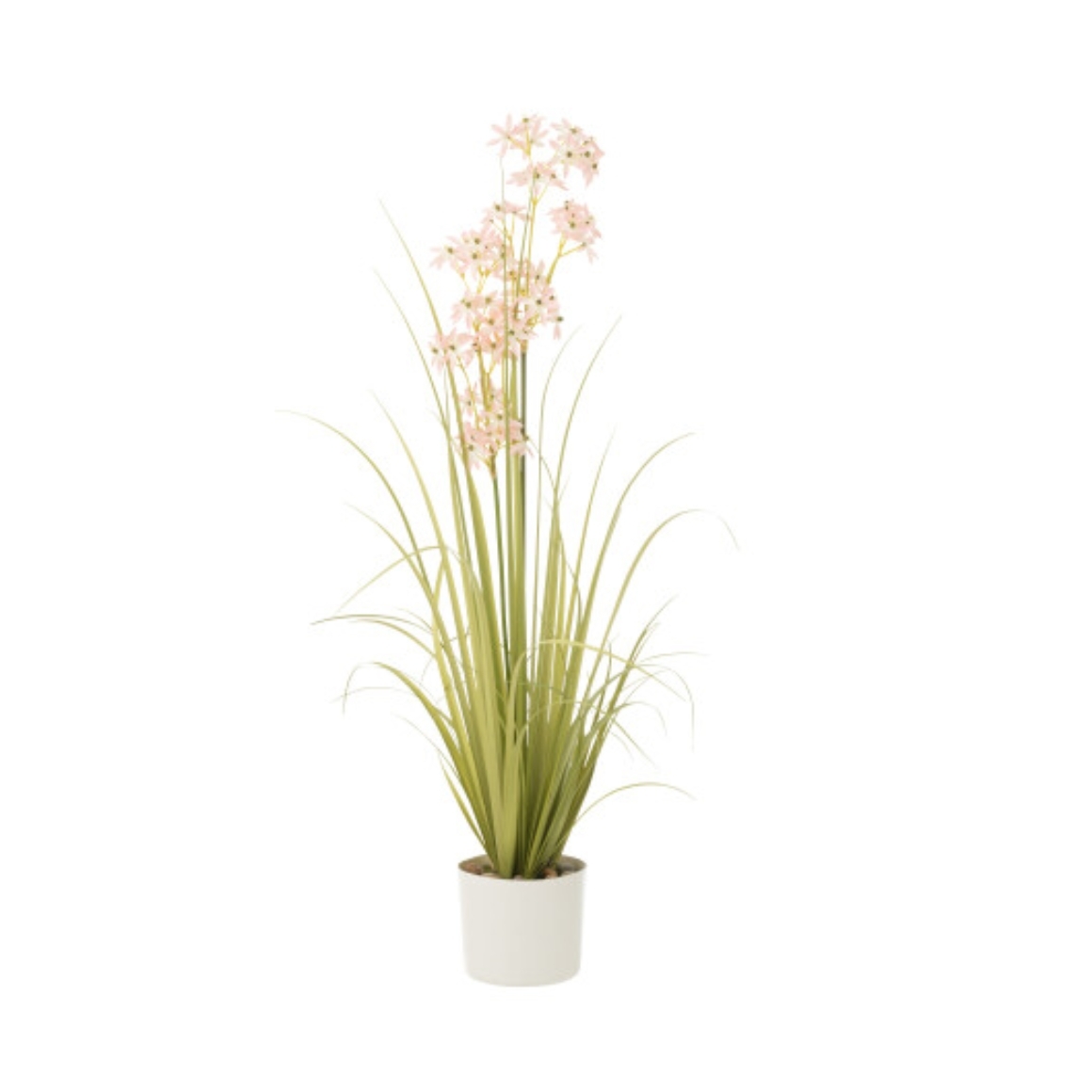 Product G Tef Zda D afbeelding
