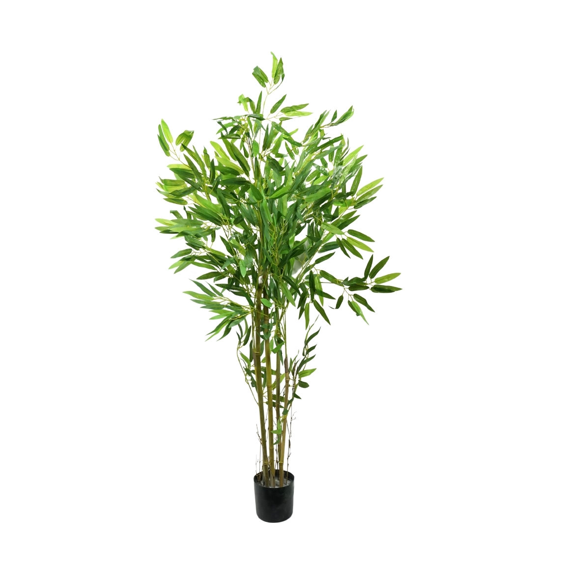 Product ROYKN Fxl afbeelding