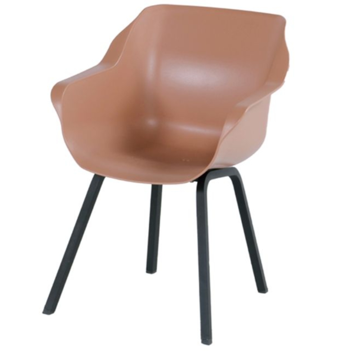 Product az L Pe Ybi afbeelding