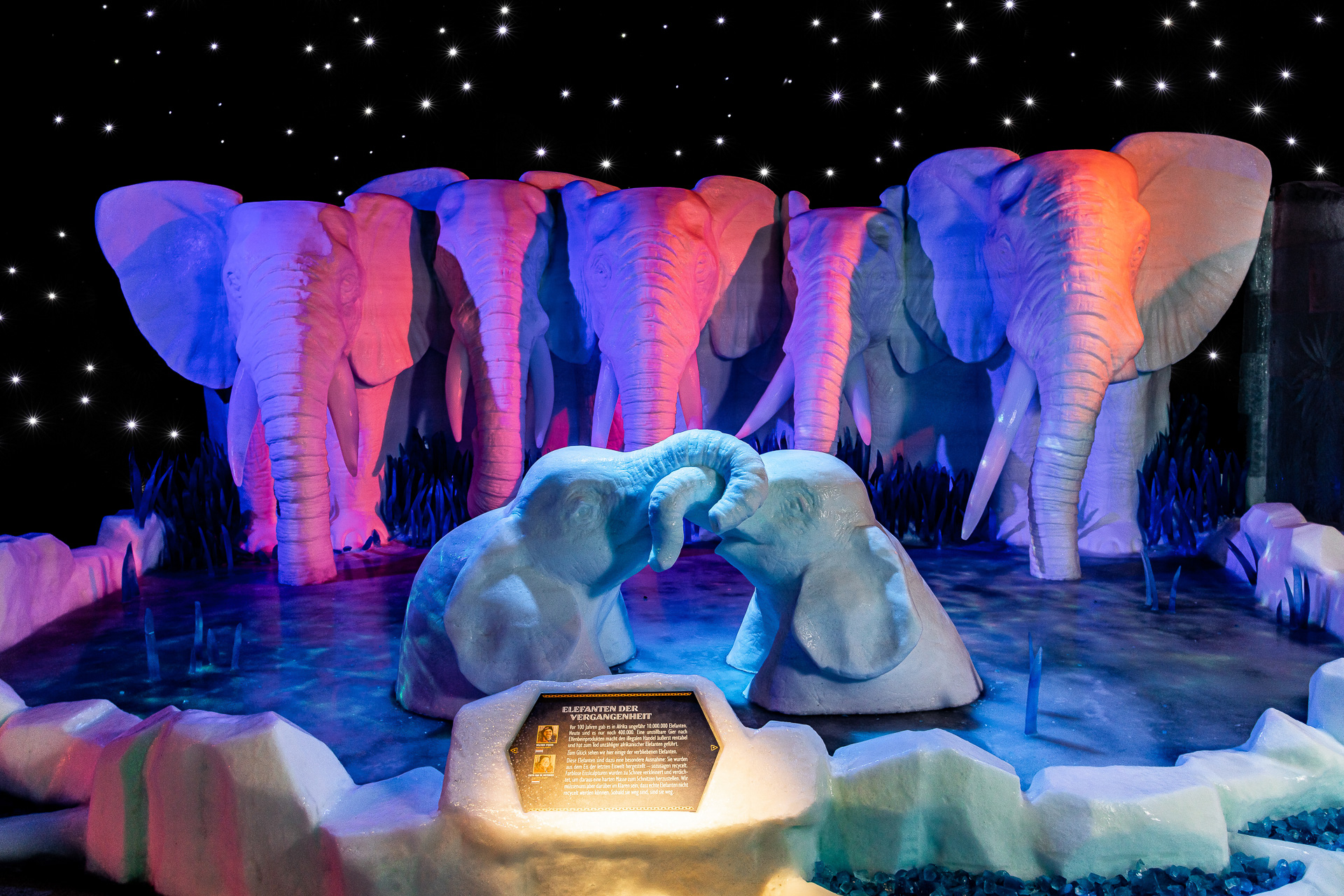 Tierische Skulpturen in der 17. Eiswelt Rövershagen