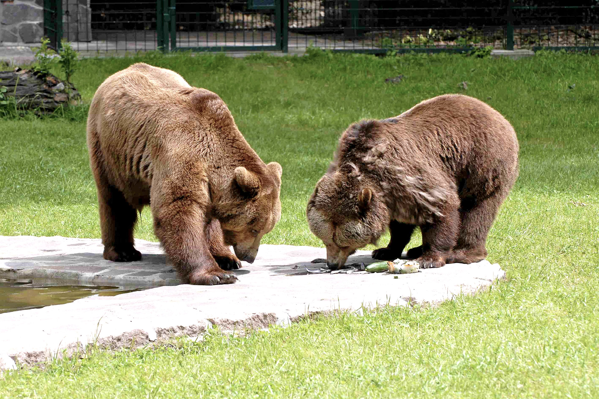 Umgebung Loburg Tierpark Dessau
