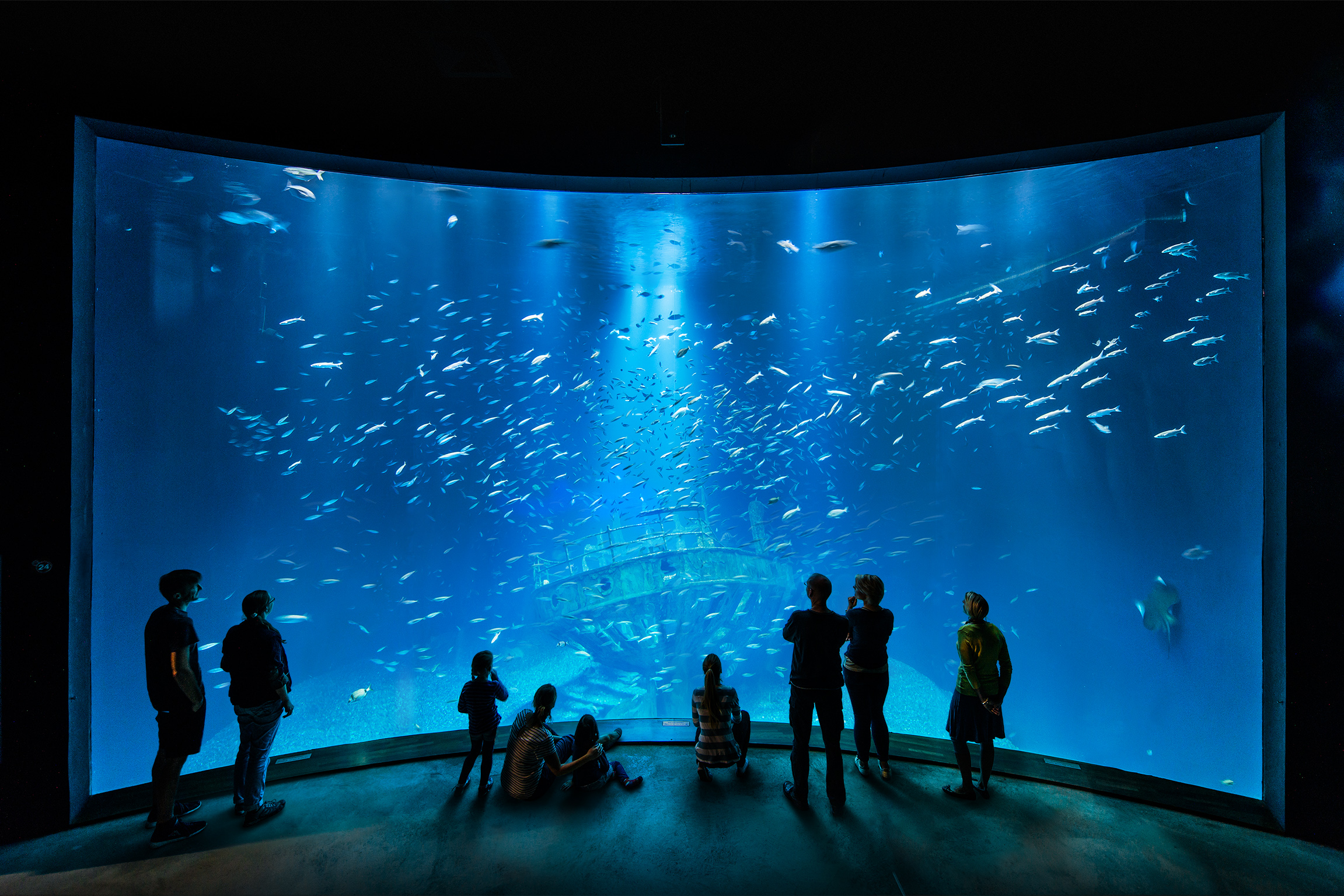 Ozeaneum Karls Freunde