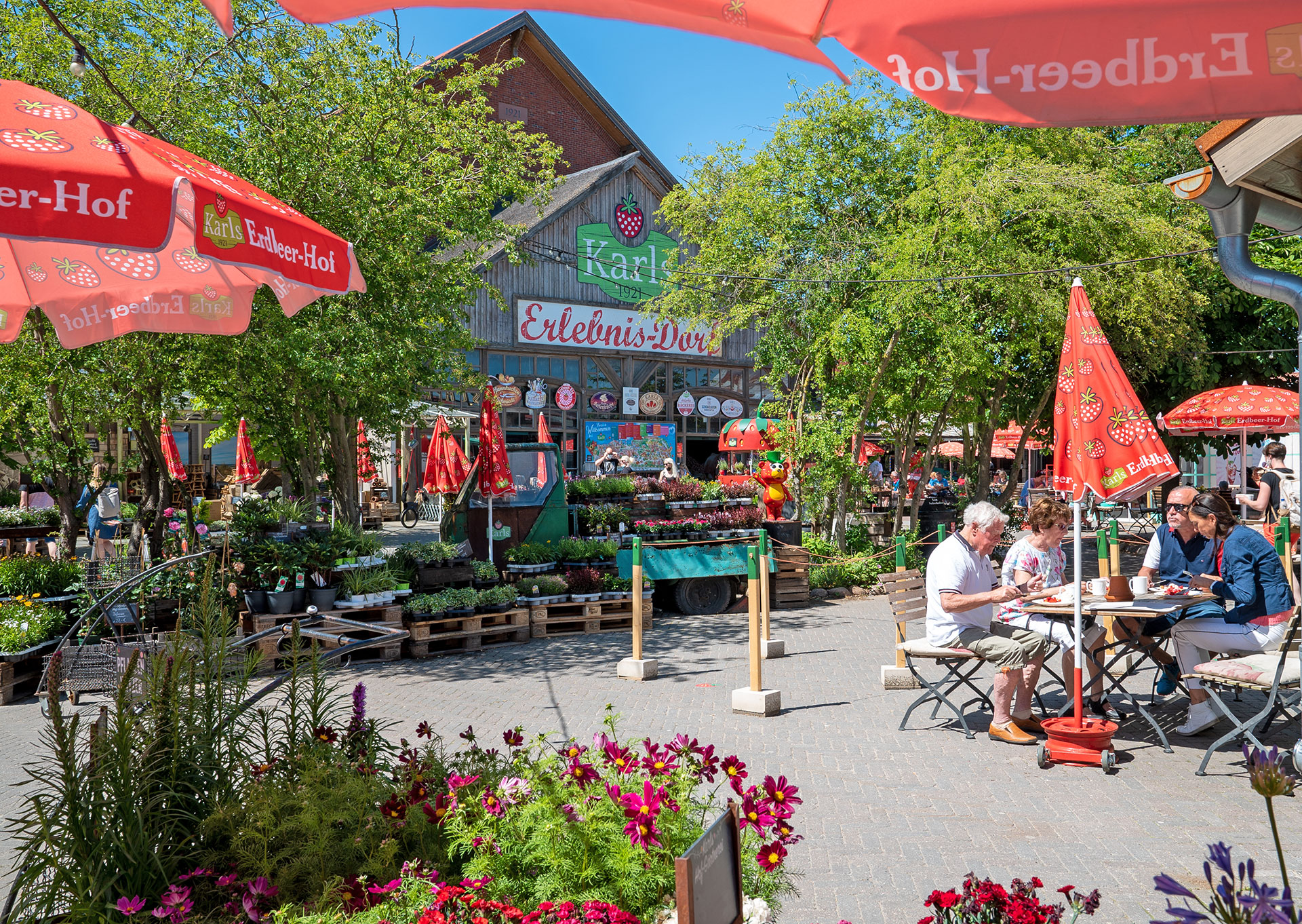 Eingang Bauernmarkt Rövershagen mit Pflanzenmarkt