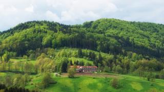 Restaurant Kapellenhof - Wirtshaus und Pension in Ringelai