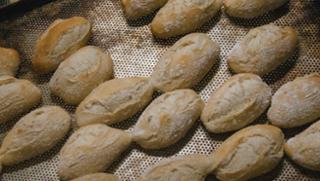 Milchsemmel Milchsemmel von GRAFMÜHLE - Bioholzofenbäckerei & Biomühle in Thyrnau
